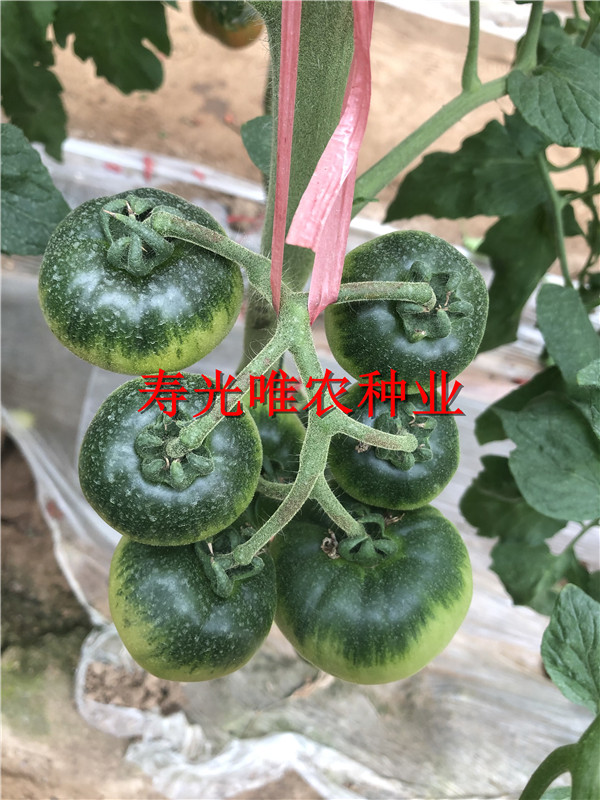 2019-01-09 我的手机图片IMG_1588.jpg