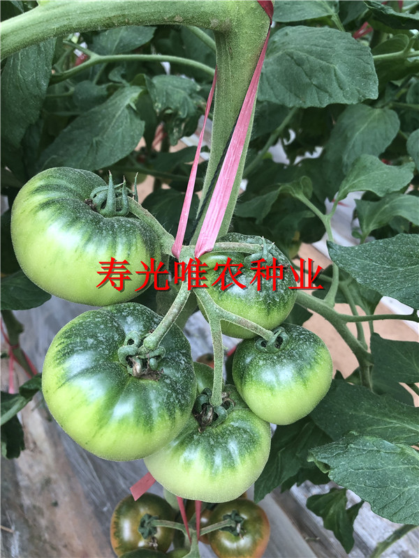 2019-01-09 我的手机图片IMG_1592.jpg