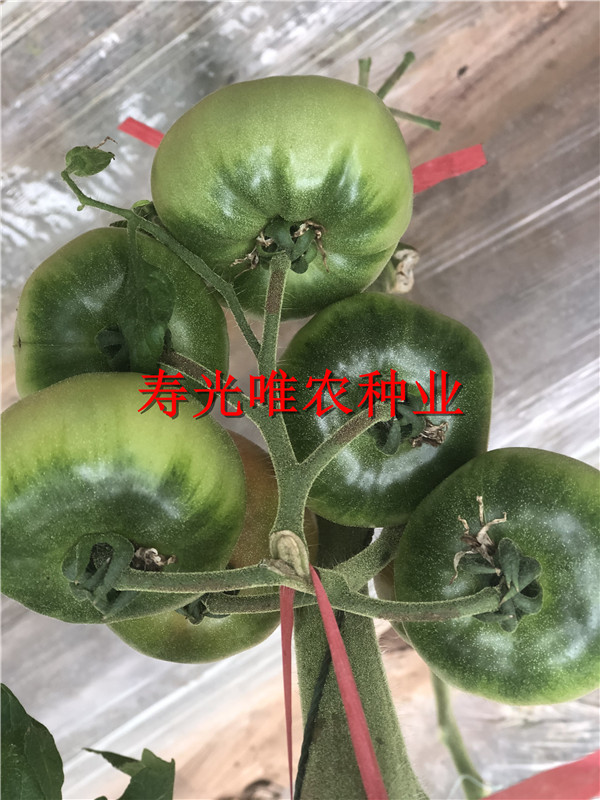2019-01-09 我的手机图片IMG_1583.jpg