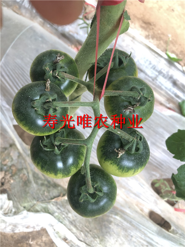 2019-01-09 我的手机图片IMG_1589.jpg
