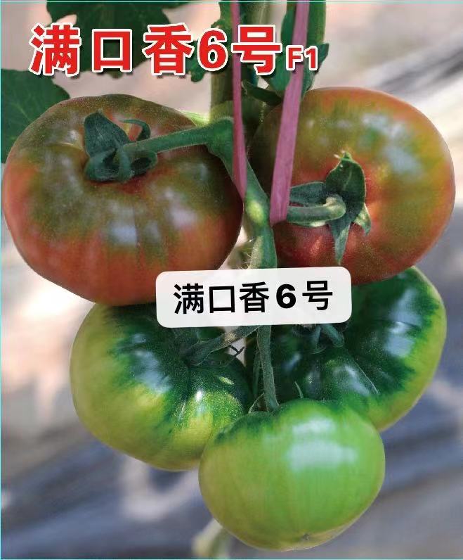 微信图片_20211021121245.jpg